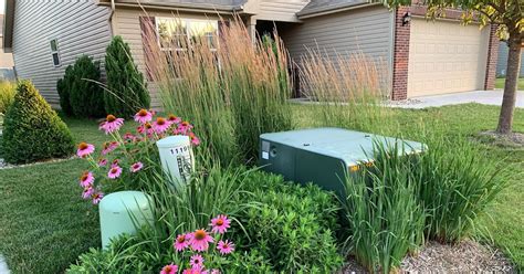 plants around electrical box|hiding utility boxes in garden.